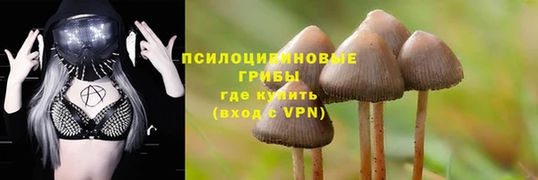 дживик Покровск
