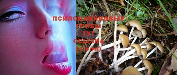 спиды Покров