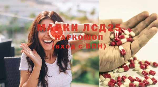 спиды Покров