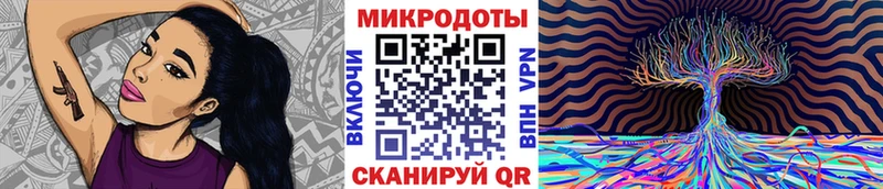 Псилоцибиновые грибы Psilocybe  хочу наркоту  Строитель 
