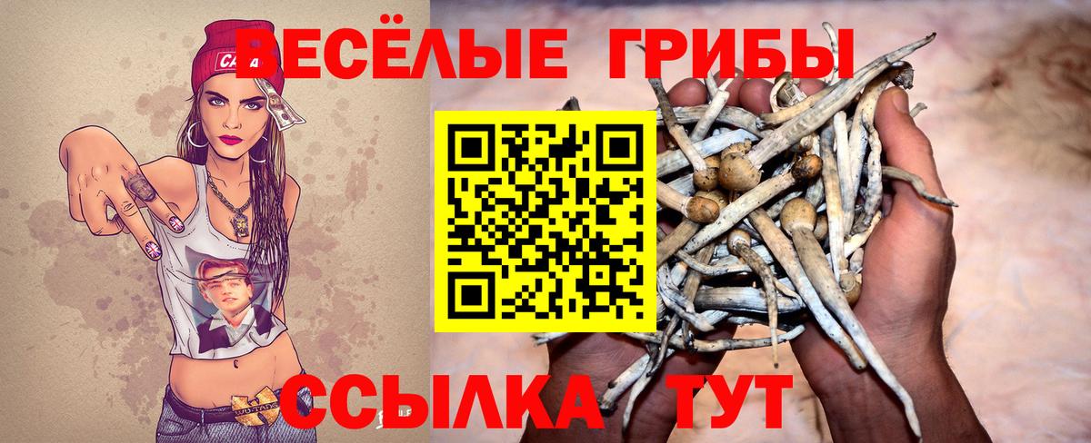 Галлюциногенные грибы мицелий Строитель